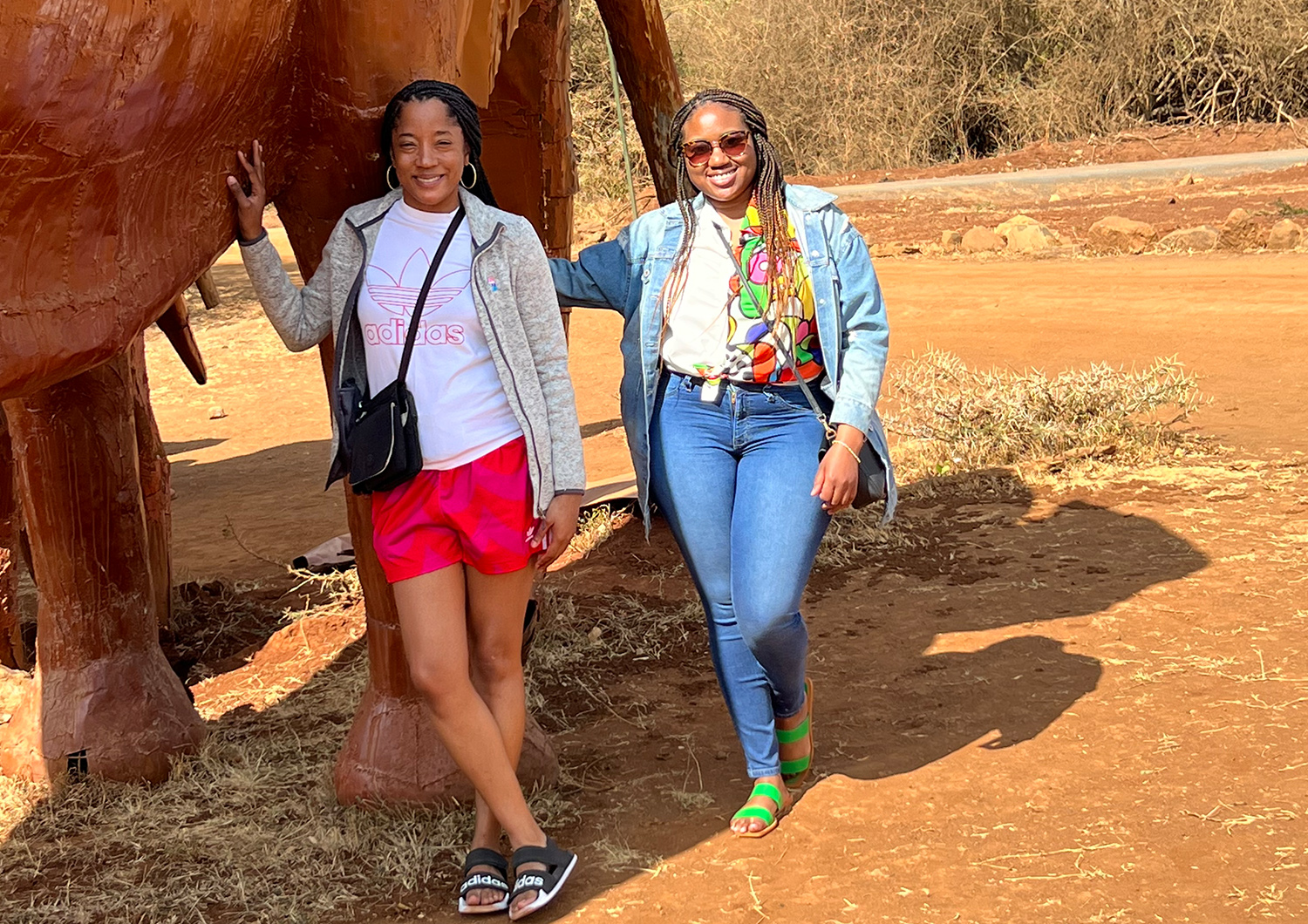 Global Health Africa Allen Leffall