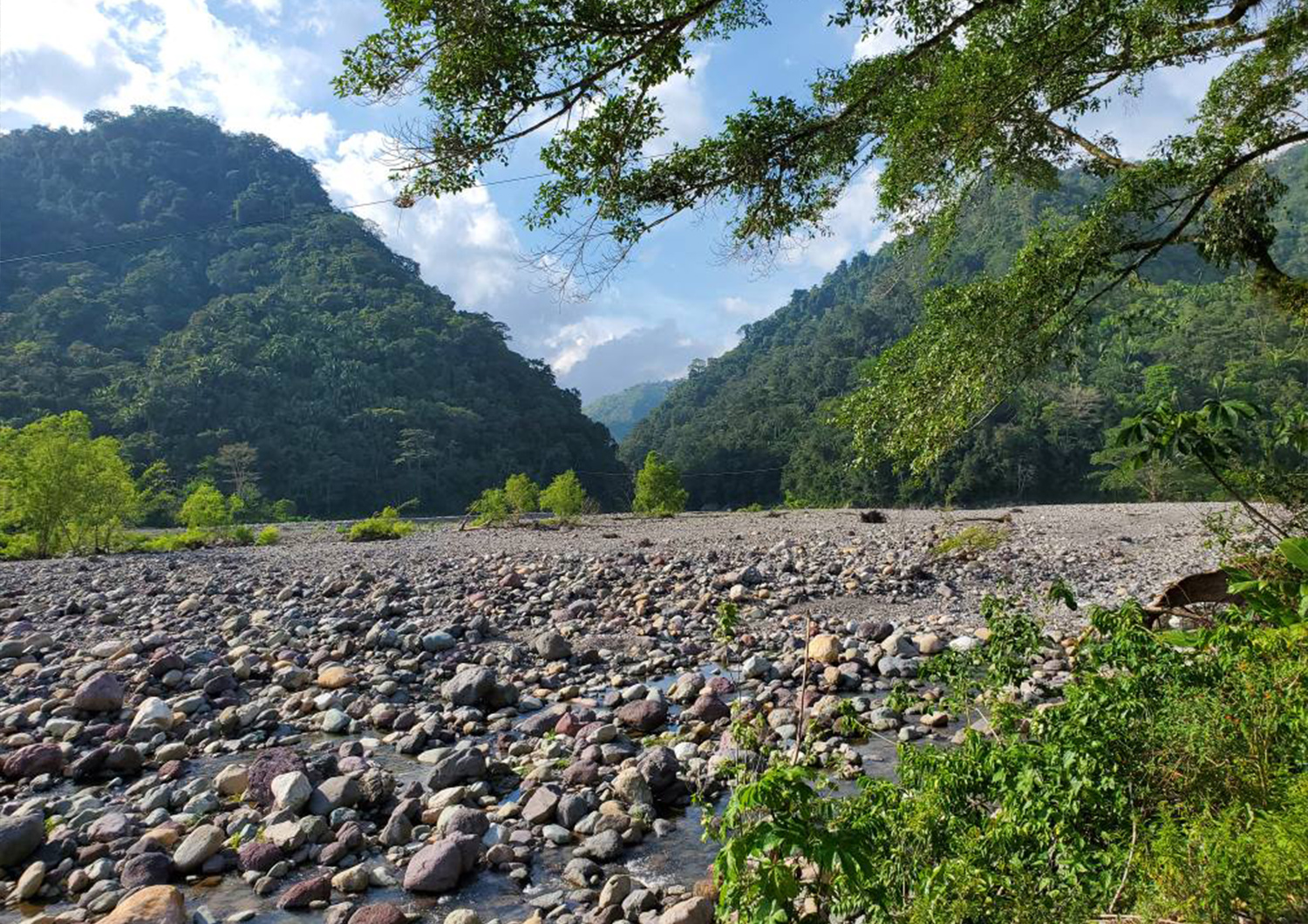 Honduras Jungle Hospital Landscape